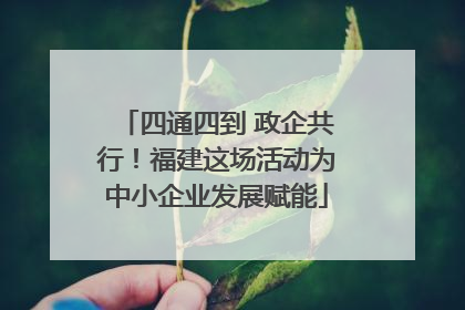 四通四到 政企共行！福建这场活动为中小企业发展赋能