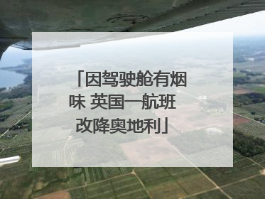 因驾驶舱有烟味 英国一航班改降奥地利