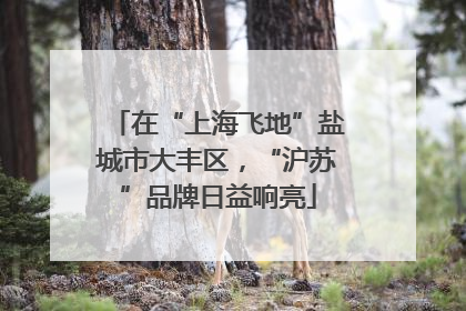 在“上海飞地”盐城市大丰区，“沪苏”品牌日益响亮