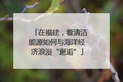 在福建，看清洁能源如何与海洋经济浪漫“邂逅”