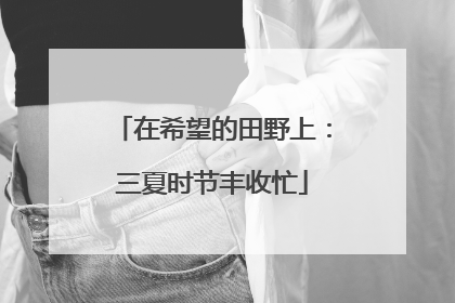 在希望的田野上：三夏时节丰收忙