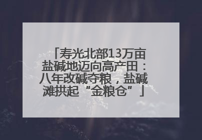 寿光北部13万亩盐碱地迈向高产田：八年改碱夺粮，盐碱滩拱起“金粮仓”