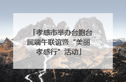 孝感市举办台胞台属端午联谊暨“美丽孝感行”活动