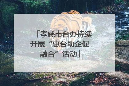 孝感市台办持续开展“惠台助企促融合”活动