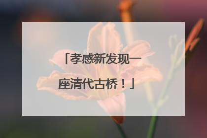 孝感新发现一座清代古桥！