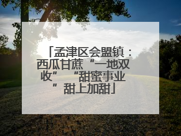 孟津区会盟镇：西瓜甘蔗“一地双收” “甜蜜事业”甜上加甜