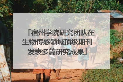 宿州学院研究团队在生物传感领域顶级期刊发表多篇研究成果