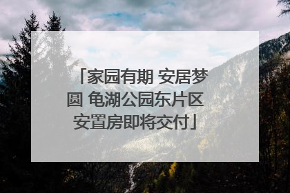 家园有期 安居梦圆 龟湖公园东片区安置房即将交付