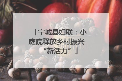 宁城县妇联：小庭院释放乡村振兴“新活力”