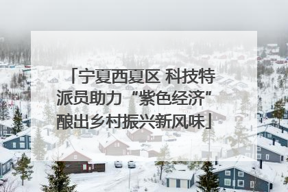 宁夏西夏区 科技特派员助力“紫色经济”酿出乡村振兴新风味