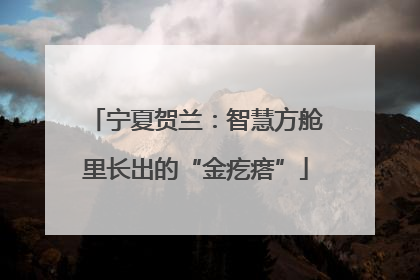 宁夏贺兰：智慧方舱里长出的“金疙瘩”