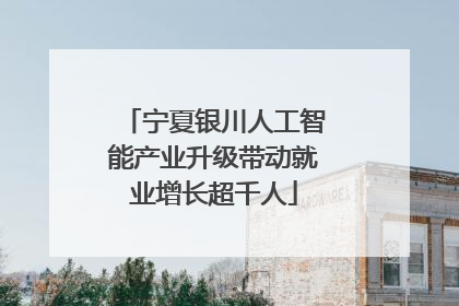 宁夏银川人工智能产业升级带动就业增长超千人