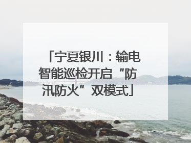 宁夏银川：输电智能巡检开启“防汛防火”双模式