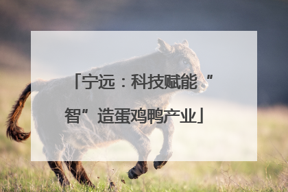 宁远：科技赋能“智”造蛋鸡鸭产业