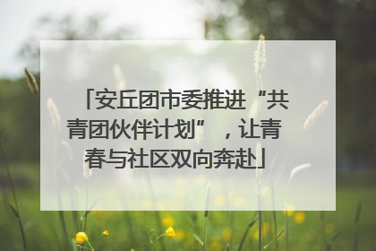 安丘团市委推进“共青团伙伴计划”，让青春与社区双向奔赴