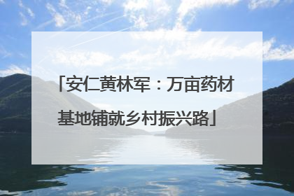 安仁黄林军：万亩药材基地铺就乡村振兴路