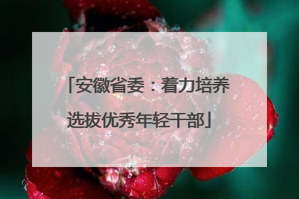 安徽省委：着力培养选拔优秀年轻干部
