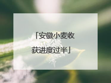 安徽小麦收获进度过半