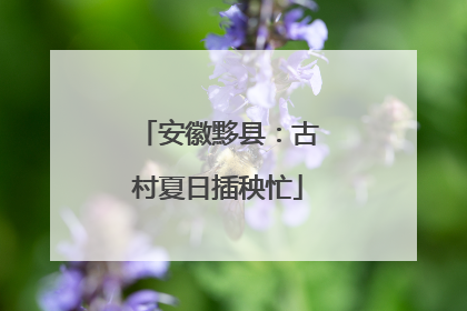 安徽黟县：古村夏日插秧忙