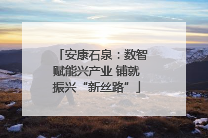 安康石泉：数智赋能兴产业 铺就振兴“新丝路”