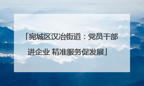 宛城区汉冶街道：党员干部进企业 精准服务促发展