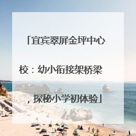 宜宾翠屏金坪中心校：幼小衔接架桥梁，探秘小学初体验