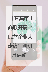 宜宾市工商联开展“民营企业大走访”调研月活动