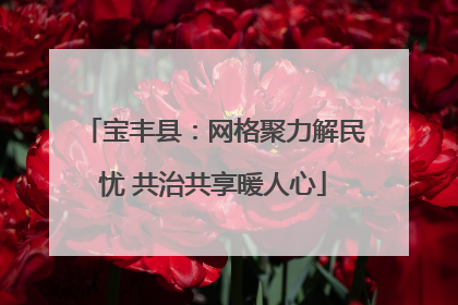 宝丰县：网格聚力解民忧 共治共享暖人心