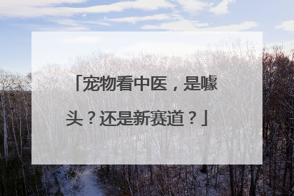 宠物看中医，是噱头？还是新赛道？