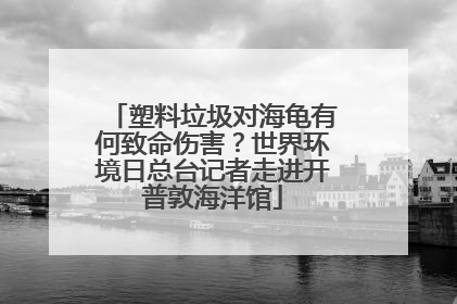 塑料垃圾对海龟有何致命伤害？世界环境日总台记者走进开普敦海洋馆