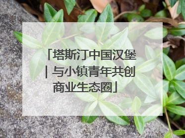 塔斯汀中国汉堡｜与小镇青年共创商业生态圈