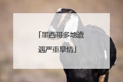 墨西哥多地遭遇严重旱情