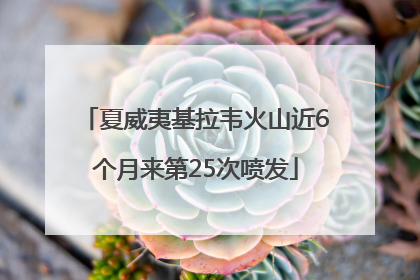 夏威夷基拉韦火山近6个月来第25次喷发