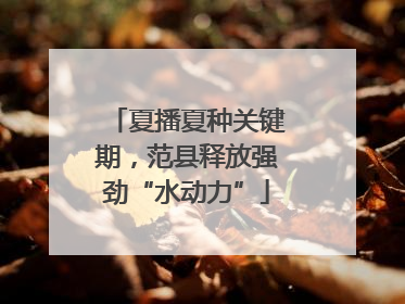 夏播夏种关键期，范县释放强劲“水动力”