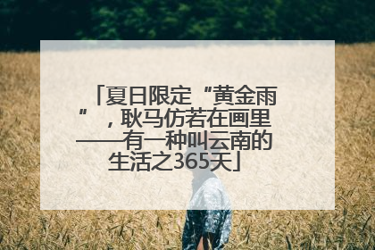 夏日限定“黄金雨”，耿马仿若在画里——有一种叫云南的生活之365天