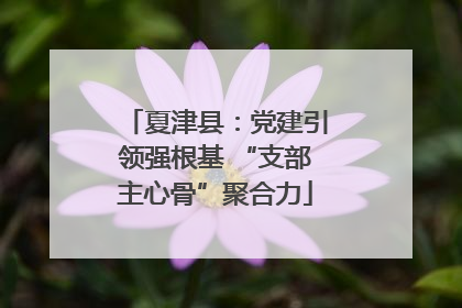 夏津县：党建引领强根基 “支部主心骨”聚合力