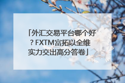 外汇交易平台哪个好？FXTM富拓以全维实力交出高分答卷