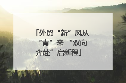 外贸“新”风从“青”来 “双向奔赴”启新程