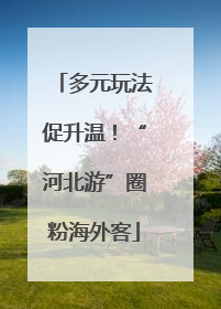多元玩法促升温！“河北游”圈粉海外客