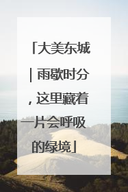 大美东城｜雨歇时分，这里藏着一片会呼吸的绿境