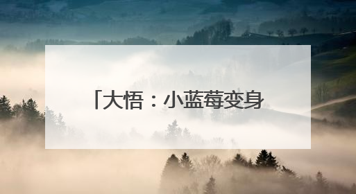 大悟：小蓝莓变身“致富果” 特色生“金”致富有方