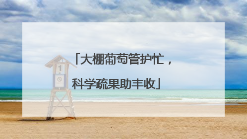 大棚葡萄管护忙，科学疏果助丰收