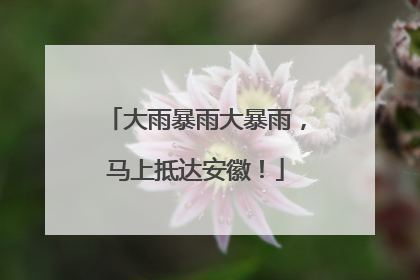 大雨暴雨大暴雨，马上抵达安徽！