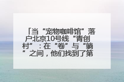 当“宠物咖啡馆”落户北京10号线“青创村”：在“卷”与“躺”之间，他们找到了第三种生活公式