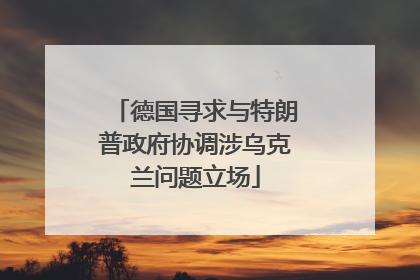 德国寻求与特朗普政府协调涉乌克兰问题立场
