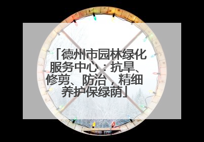 德州市园林绿化服务中心：抗旱、修剪、防治，精细养护保绿荫