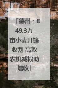 德州：849.3万亩小麦开镰收割 高效农机减损助增收