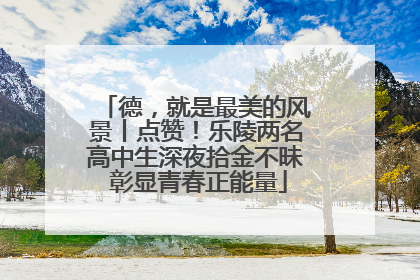 德，就是最美的风景丨点赞！乐陵两名高中生深夜拾金不昧 彰显青春正能量