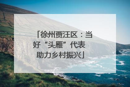 徐州贾汪区：当好“头雁”代表 助力乡村振兴