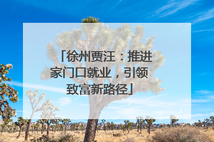 徐州贾汪：推进家门口就业，引领致富新路径